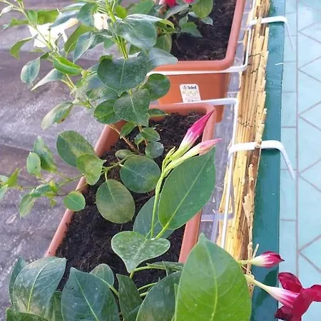 Del Sole Appartamento